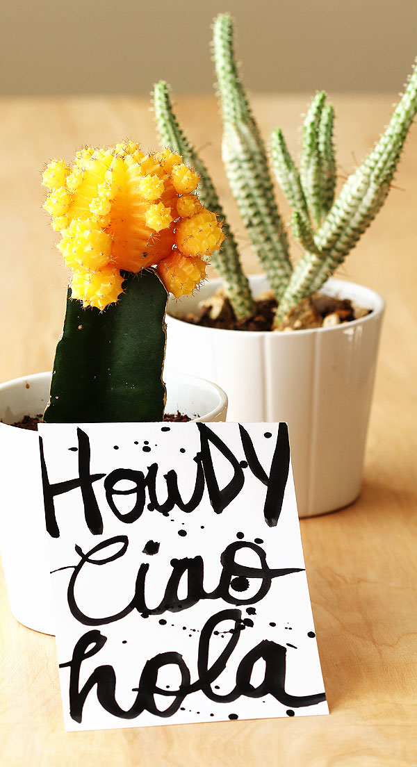 Hello, brush script! by Lisa Spangler