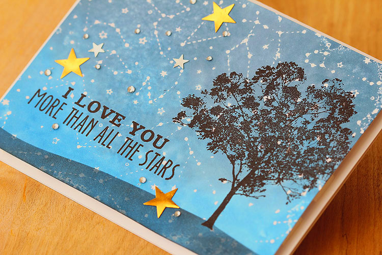 I Love You More Than All the Stars by Lisa Spangler