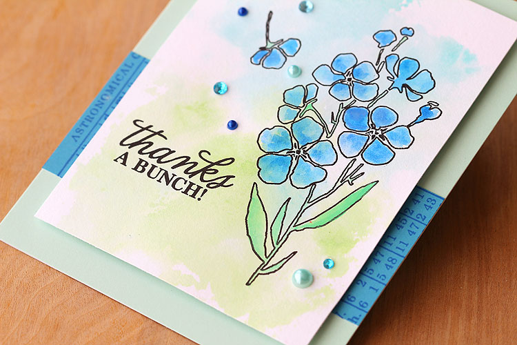 Watercolored Night & Day Flowers by Lisa Spangler