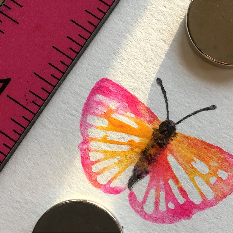 butterfly-in-progress