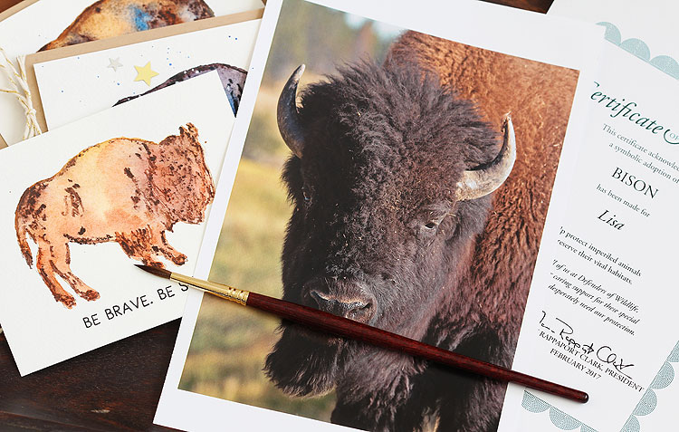 Adopt a Bison  Symbolic Adoptions from WWF