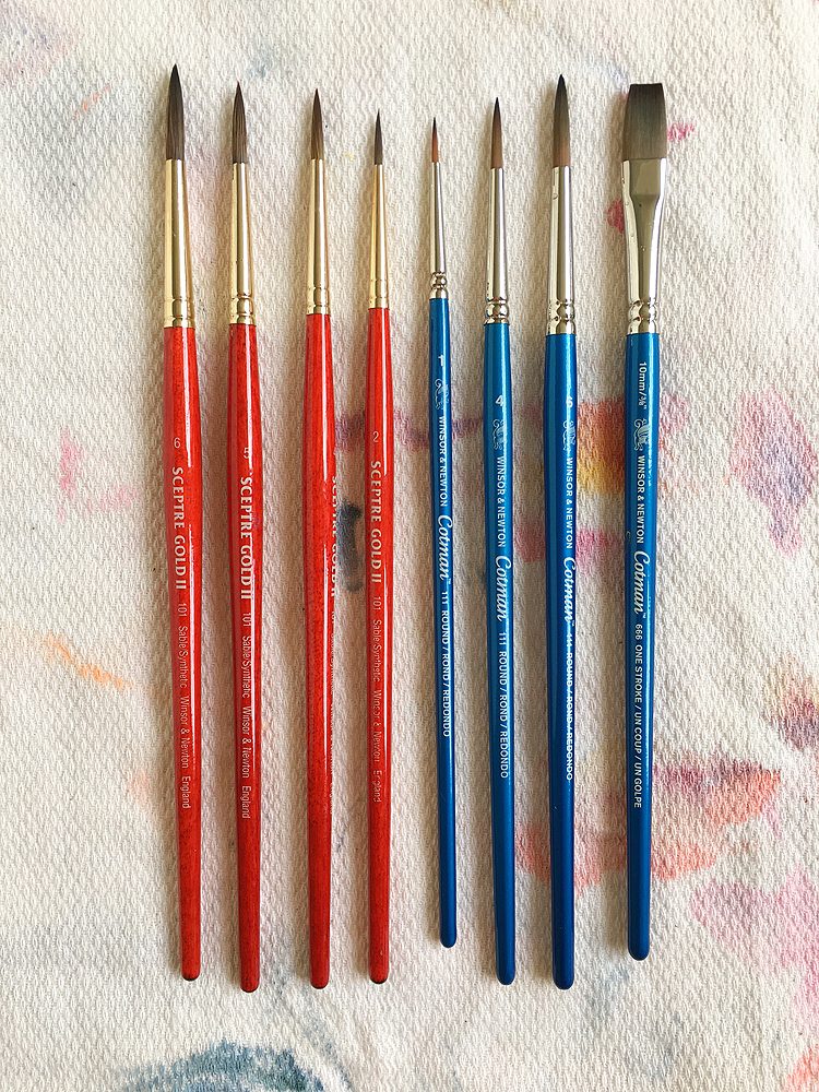 Winsor Newton Filbert Brush Set  sizes 2,4,6,8 10,12 List $95.NOW $29.FLASH $15.