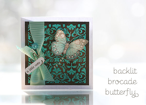 backlit-brocade-butterfly
